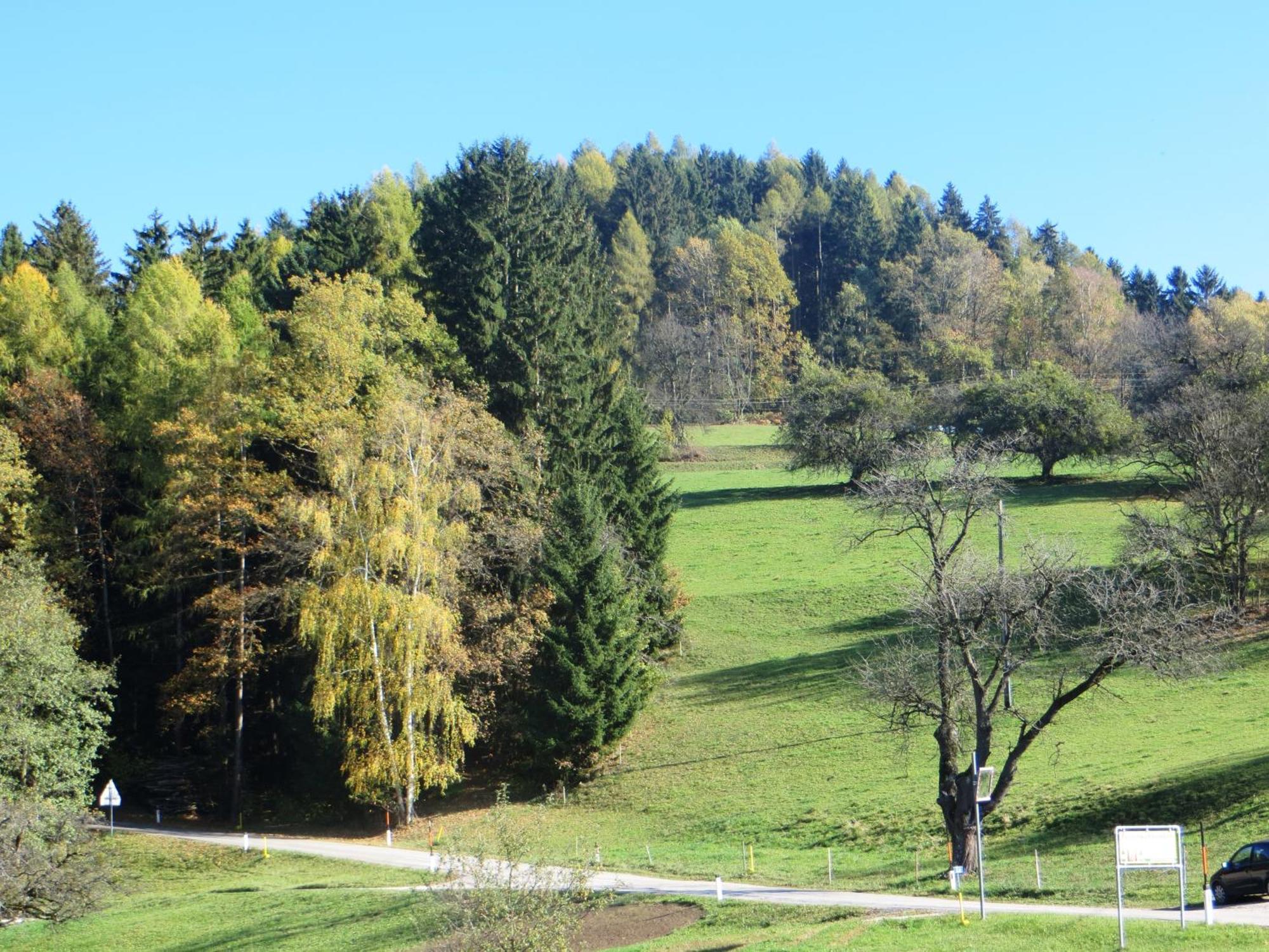 Ferienwohnungen Bauernhof Schilcher Sankt Stefan im Lavanttal Exterior photo
